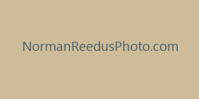 NormanReedusPhoto.com