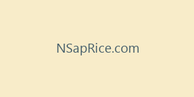 NSapRice.com
