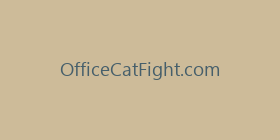 OfficeCatFight.com