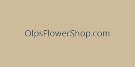OlpsFlowerShop.com
