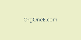 OrgOneE.com