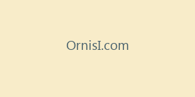OrnisI.com