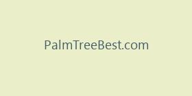PalmTreeBest.com