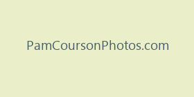 PamCoursonPhotos.com