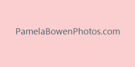 PamelaBowenPhotos.com