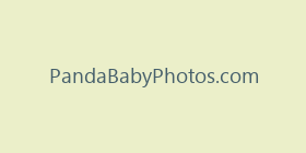 PandaBabyPhotos.com
