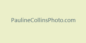 PaulineCollinsPhoto.com