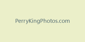 PerryKingPhotos.com