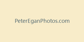 PeterEganPhotos.com