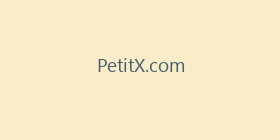 PetitX.com