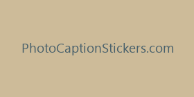 PhotoCaptionStickers.com