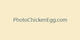 PhotoChickenEgg.com