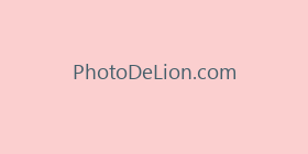 PhotoDeLion.com