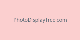 PhotoDisplayTree.com