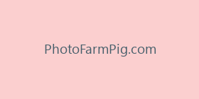 PhotoFarmPig.com