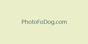 PhotoFoDog.com