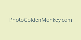 PhotoGoldenMonkey.com