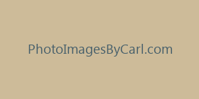 PhotoImagesByCarl.com