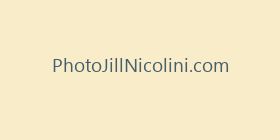 PhotoJillNicolini.com