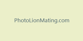 PhotoLionMating.com