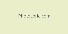 PhotoLorie.com