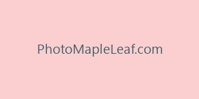 PhotoMapleLeaf.com