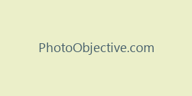 PhotoObjective.com