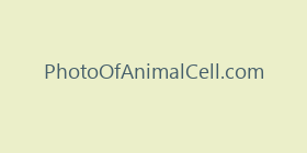 PhotoOfAnimalCell.com