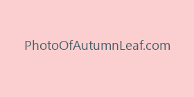 PhotoOfAutumnLeaf.com