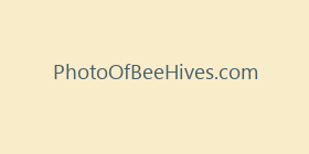 PhotoOfBeeHives.com