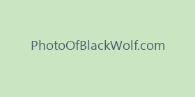 PhotoOfBlackWolf.com