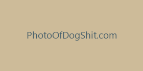 PhotoOfDogShit.com