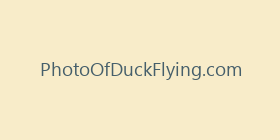 PhotoOfDuckFlying.com