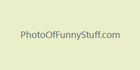 PhotoOfFunnyStuff.com