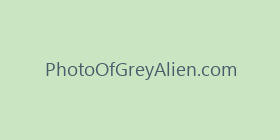 PhotoOfGreyAlien.com