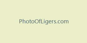 PhotoOfLigers.com