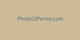 PhotoOfPerms.com