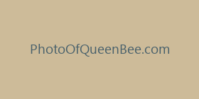 PhotoOfQueenBee.com