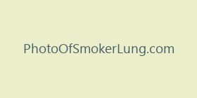 PhotoOfSmokerLung.com