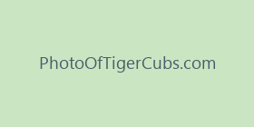 PhotoOfTigerCubs.com