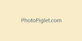 PhotoPiglet.com