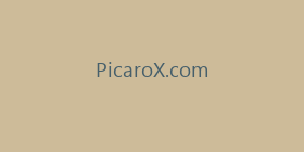 PicaroX.com