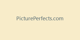 PicturePerfects.com