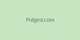 PidginI.com
