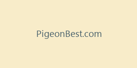 PigeonBest.com