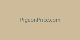 PigeonPrice.com
