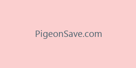 PigeonSave.com
