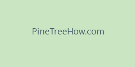 PineTreeHow.com