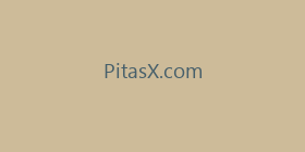 PitasX.com