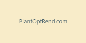 PlantOptRend.com